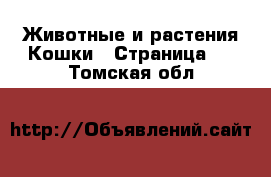 Животные и растения Кошки - Страница 3 . Томская обл.